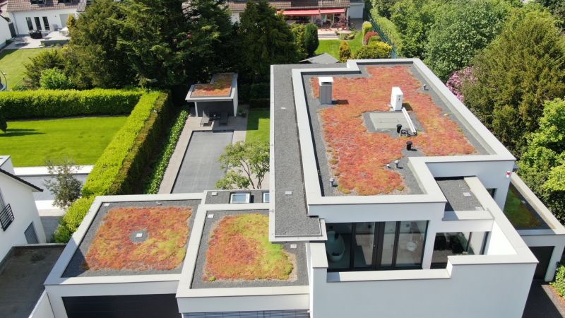 Dachbegrünung